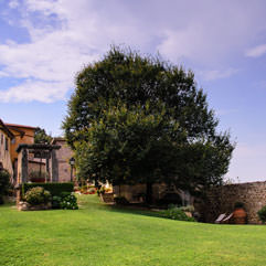 The Santo Pietro FarmHouse in Coltodino - Restaurant & Hospitality & Olive Oil Production