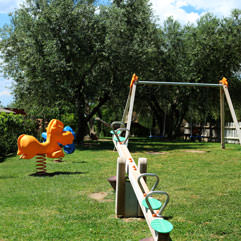 The Playground